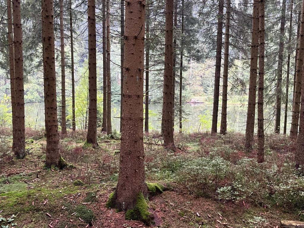 Gipfel Lounge Apartman Goslar Kültér fotó
